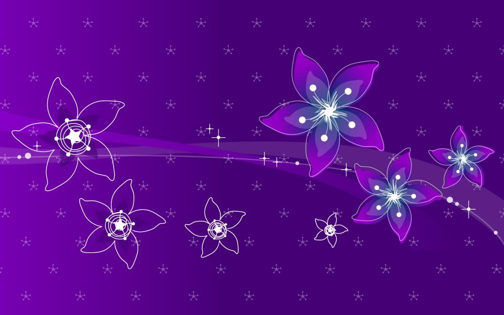 紫色系花朵，靓丽花纹炫彩