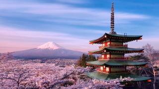 日本富士山樱花桌面壁纸